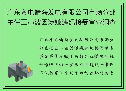 广东粤电靖海发电有限公司市场分部主任王小波因涉嫌违纪接受审查调查