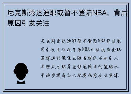 尼克斯秀达迪耶或暂不登陆NBA，背后原因引发关注